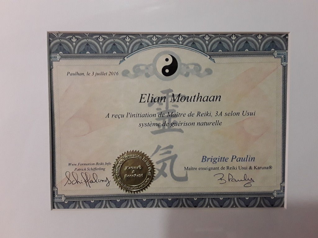 photo diplome Mouthaan Elian