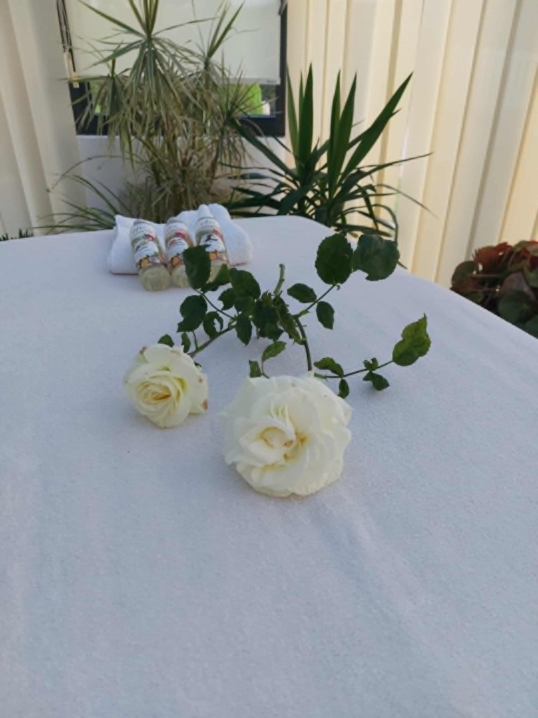 photo cabinet Isabelle bachelet