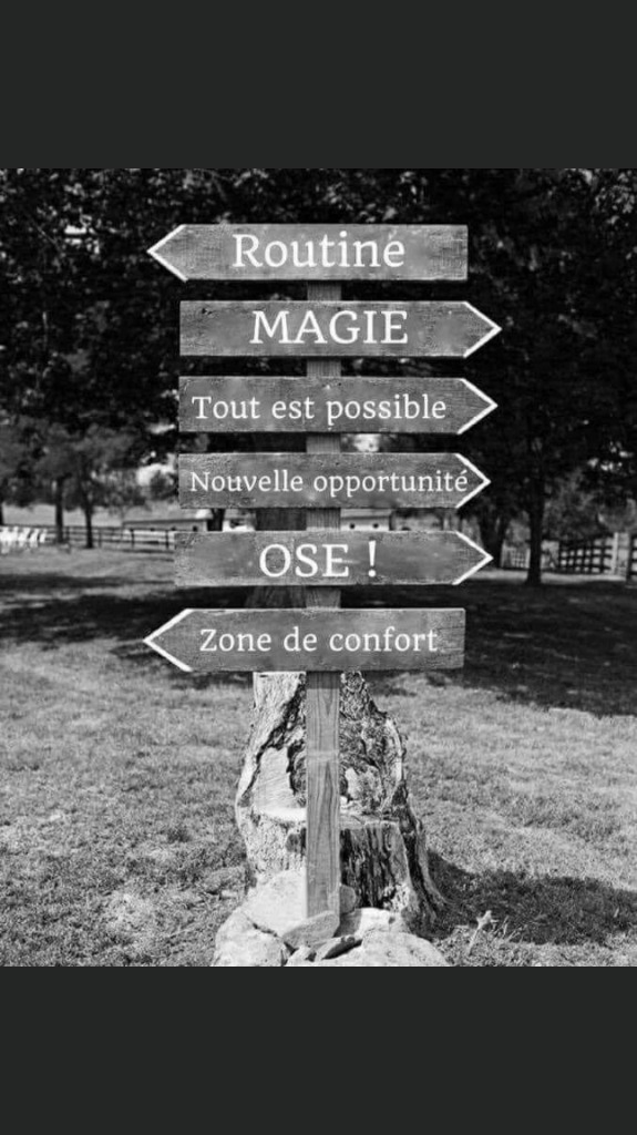 photo portrait Lydia Deschamps Carvalho Psychopraticienne