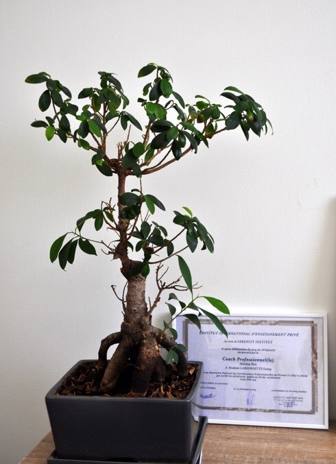 photo diplome Fanny Doin Labourdette