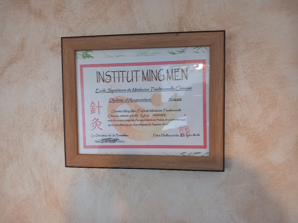 photo seance KAMYSZ SYLVIA