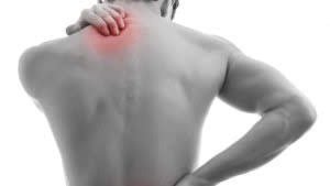 photo activite Francois dit Sempé