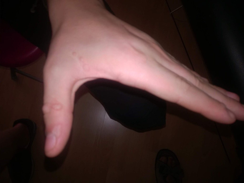 photo diplome Francois dit Sempé