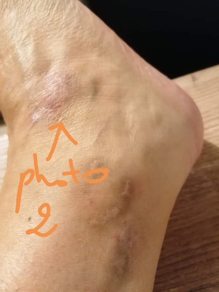 photo portrait Francois dit Sempé