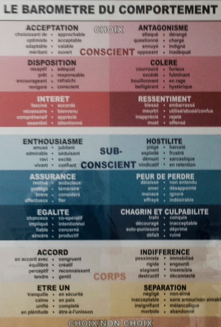 photo activite Cécile Chevrier