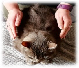 photo activite Alex Bien-Etre 35