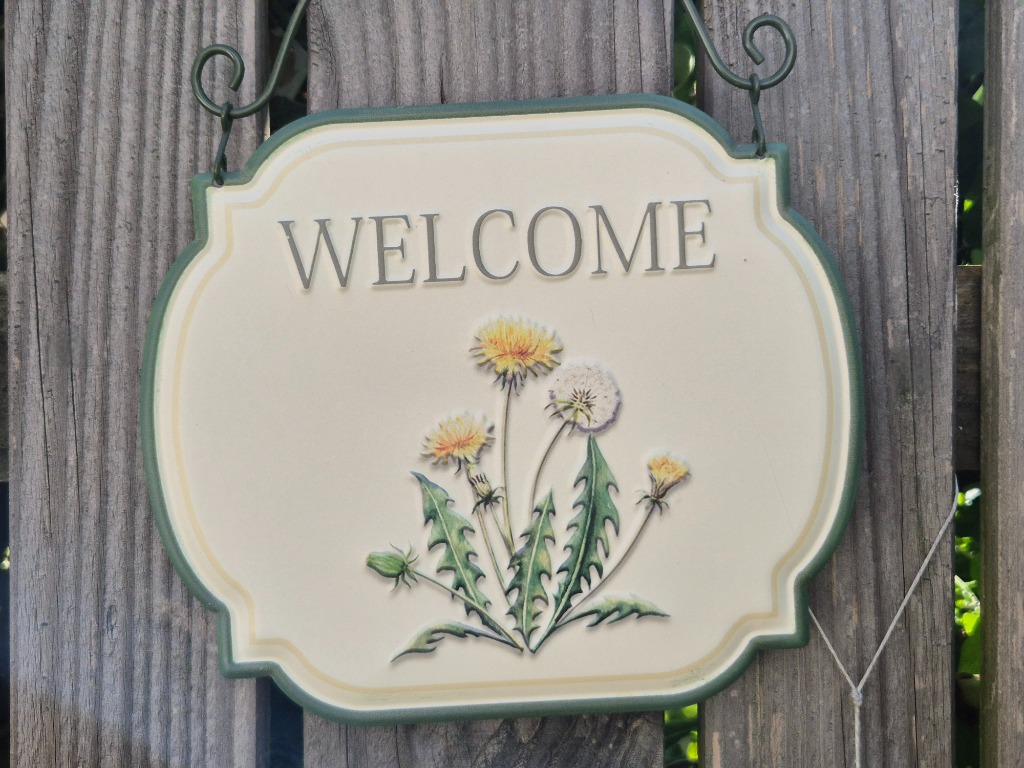 photo cabinet Raphaelle SANDRI