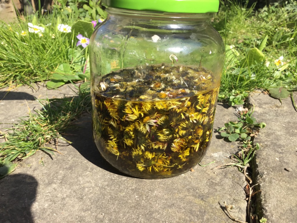 photo activite Laurence joly