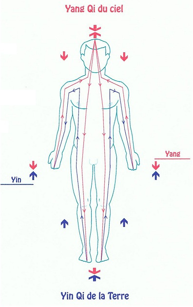 photo diplome Laurent Szczepanski