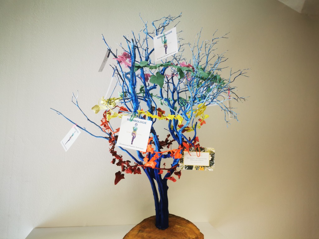 photo activite Laurie Le Foll