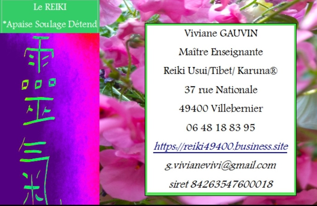 photo cabinet viviane gauvin