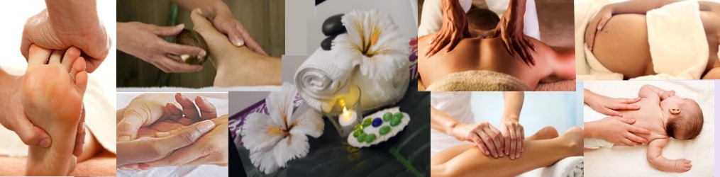 photo seance Schneider Mireille