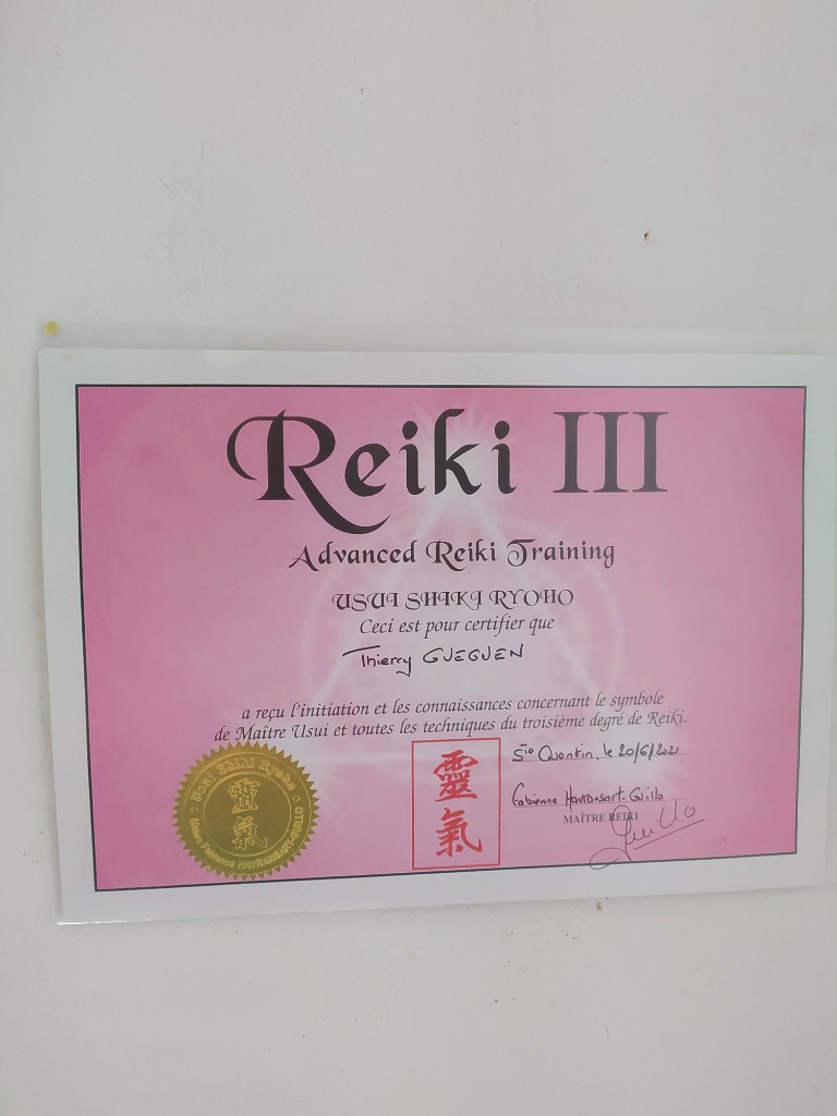 photo diplome Thierry gueguen