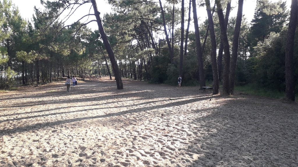 photo activite Valerie ROBLIN 