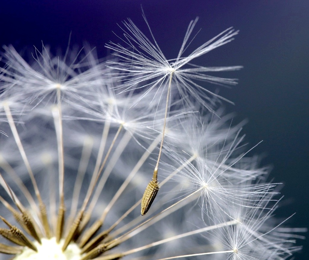 photo seance CORINNE AUBREMAIRE