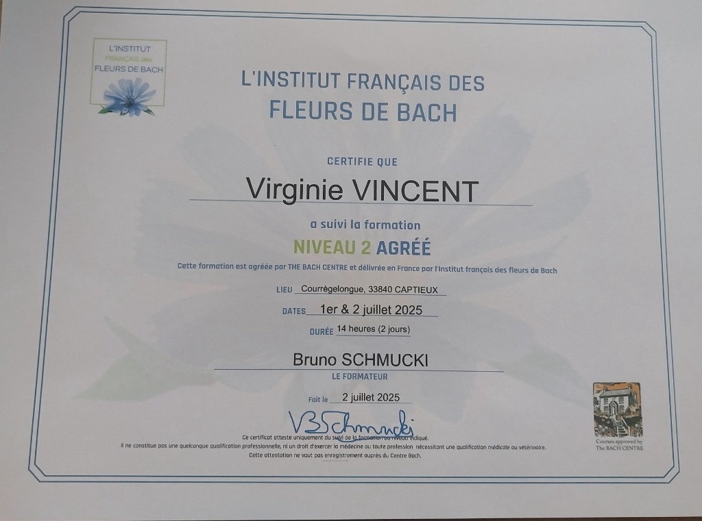 photo diplome Virginie Vincent