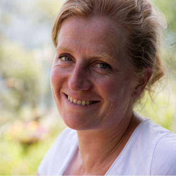 The Walking Elephant