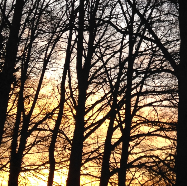 Corps Conscient- Nastasia Lewandowski