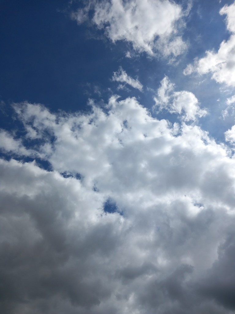 photo cabinet Mélanie ROUX