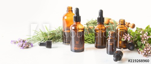 photo activite virginie CHASTEL