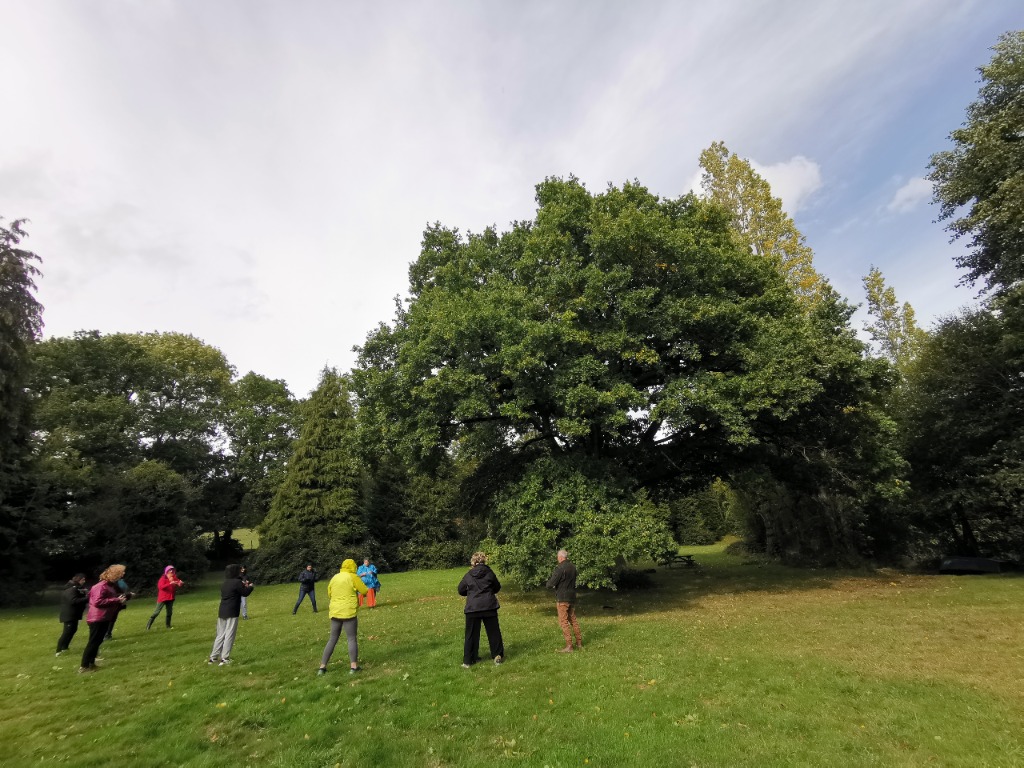 photo activite Baronce