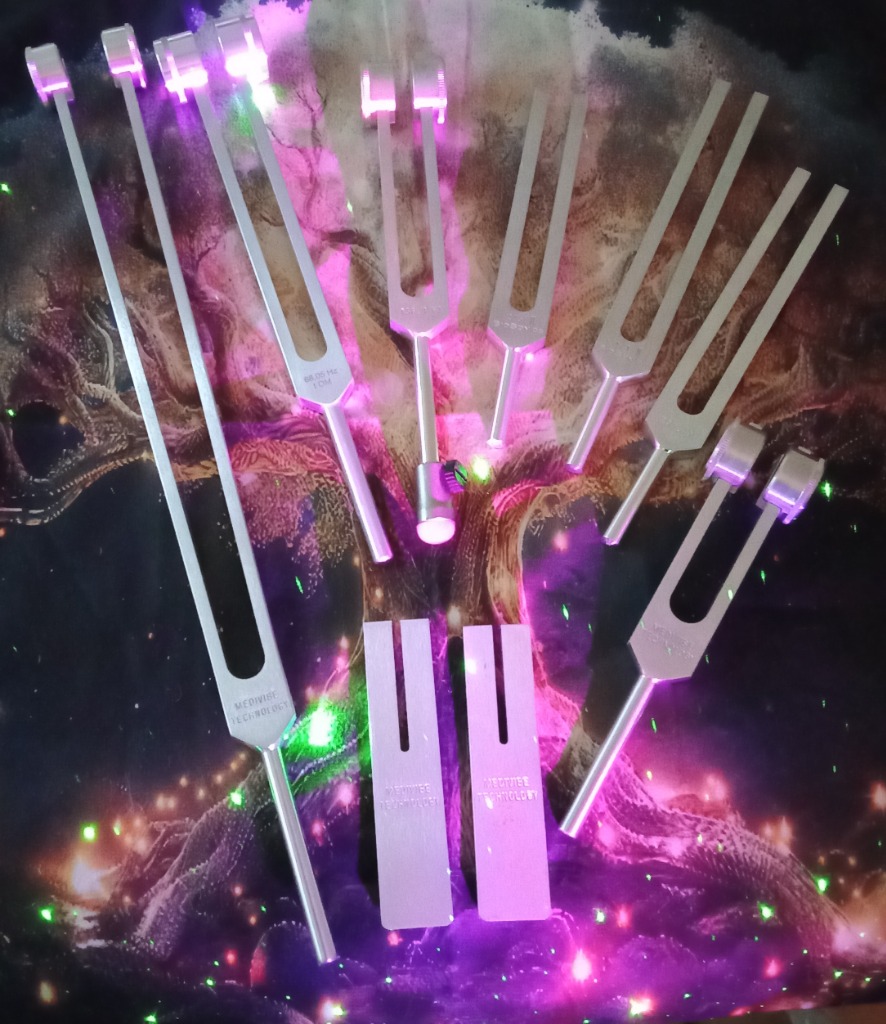 photo activite Nathalie Pilaire