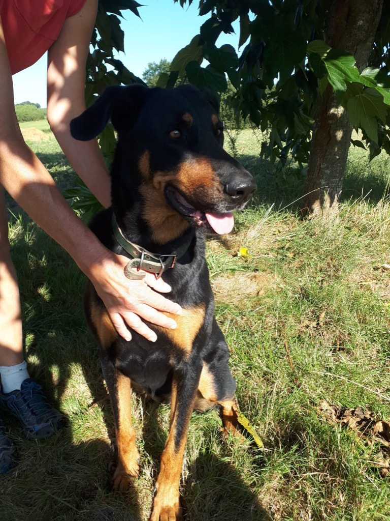 photo activite ROUGE CARRASSAT FLORENCE