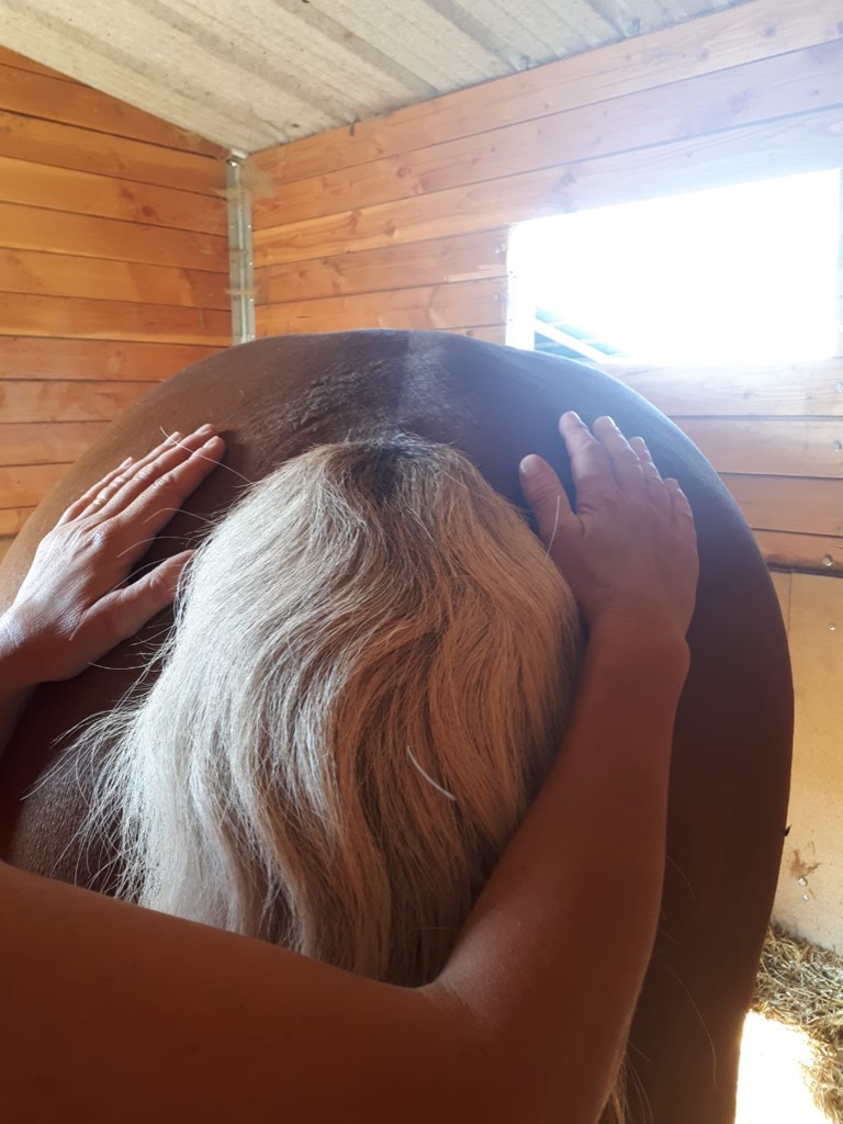 photo seance ROUGE CARRASSAT FLORENCE