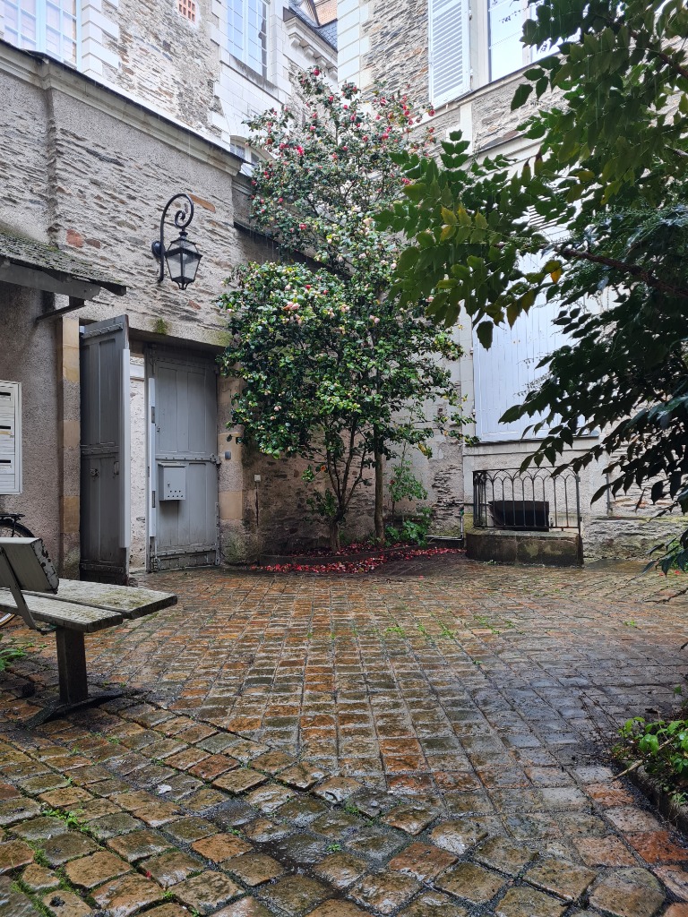 photo cabinet Olivia Viviani