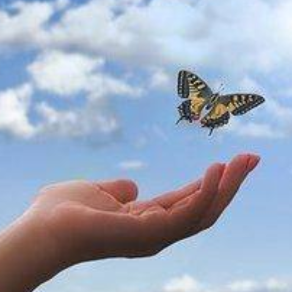 FRANCK  DELLIAUX SOPHROLOGUE