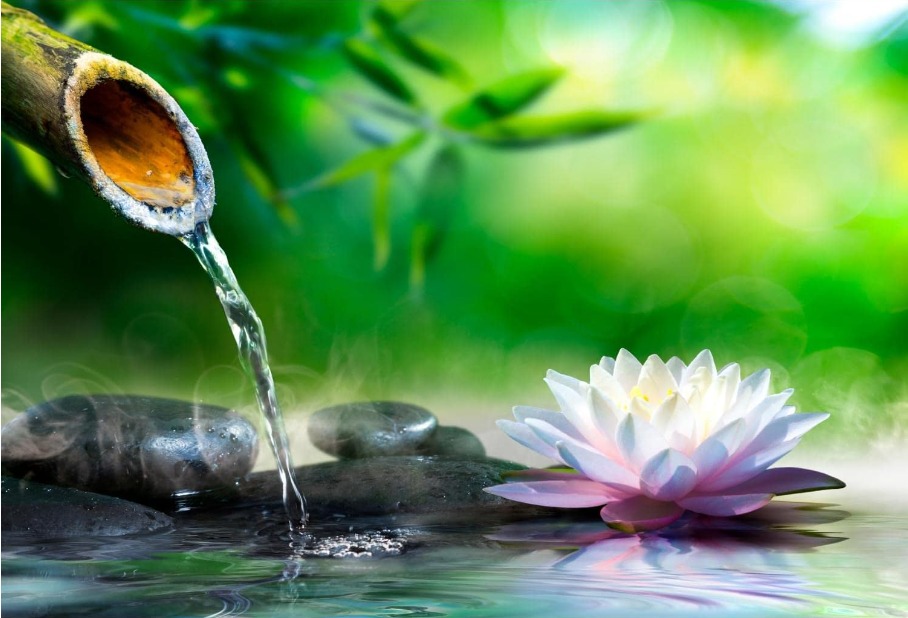 photo portrait SYLVIANE PHLIPPOTEAU