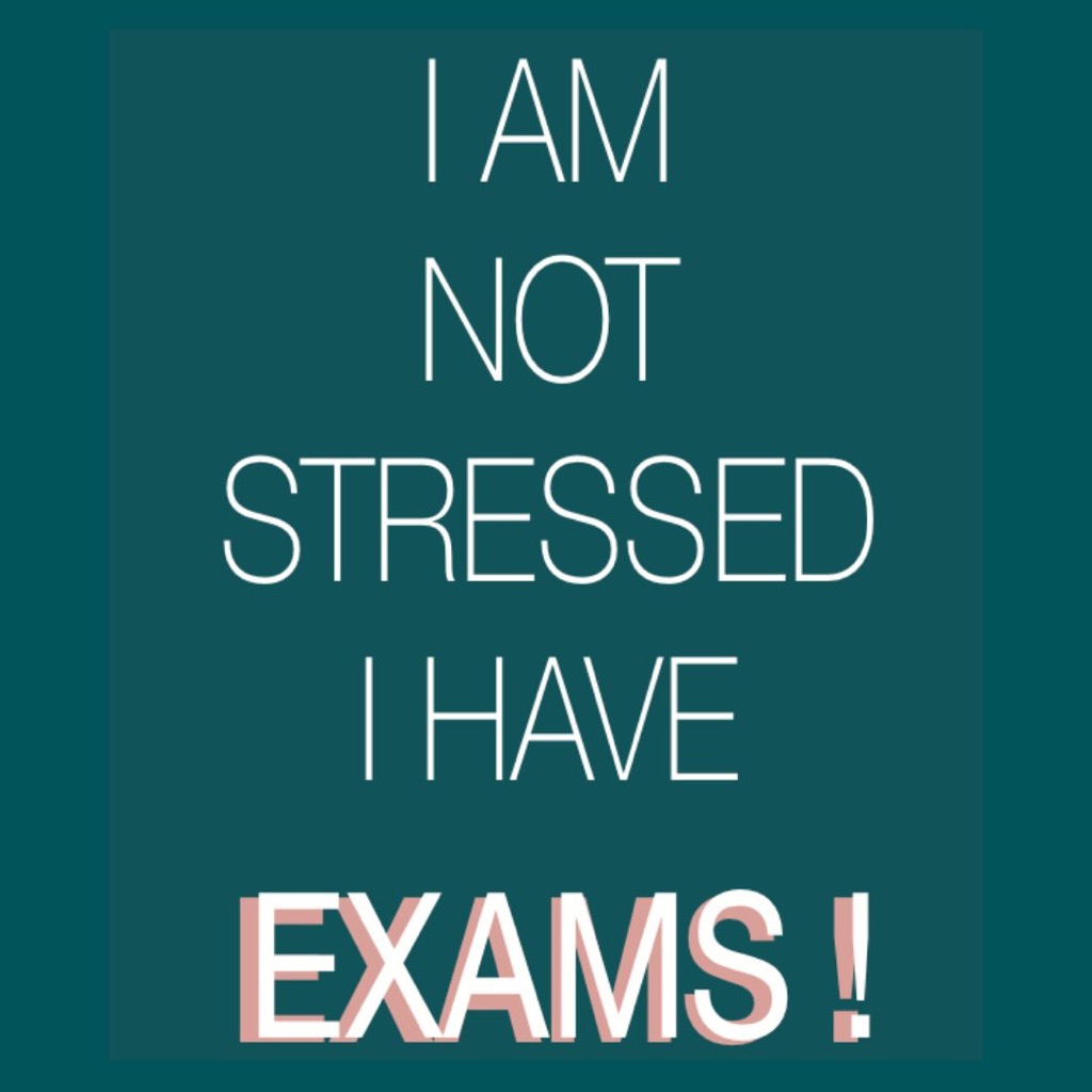 photo portrait Christine Szekely