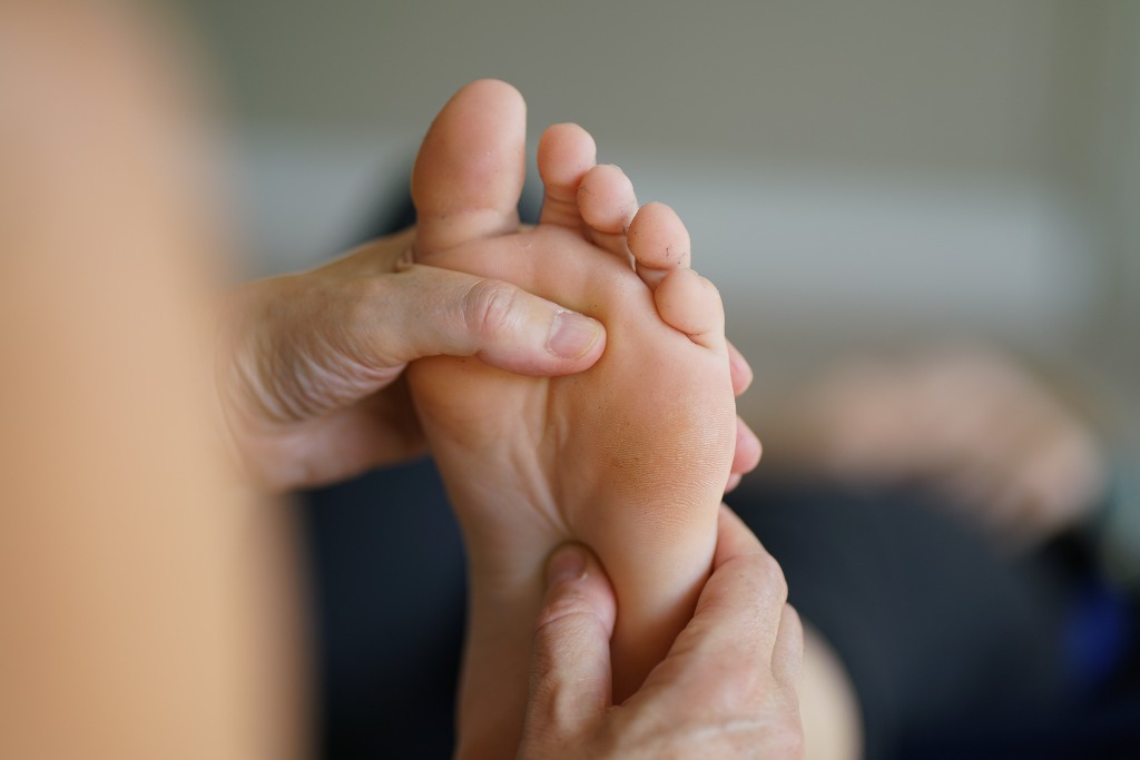 photo activite Sophie Roy