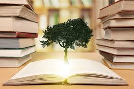 photo diplome Audrey MICHEL