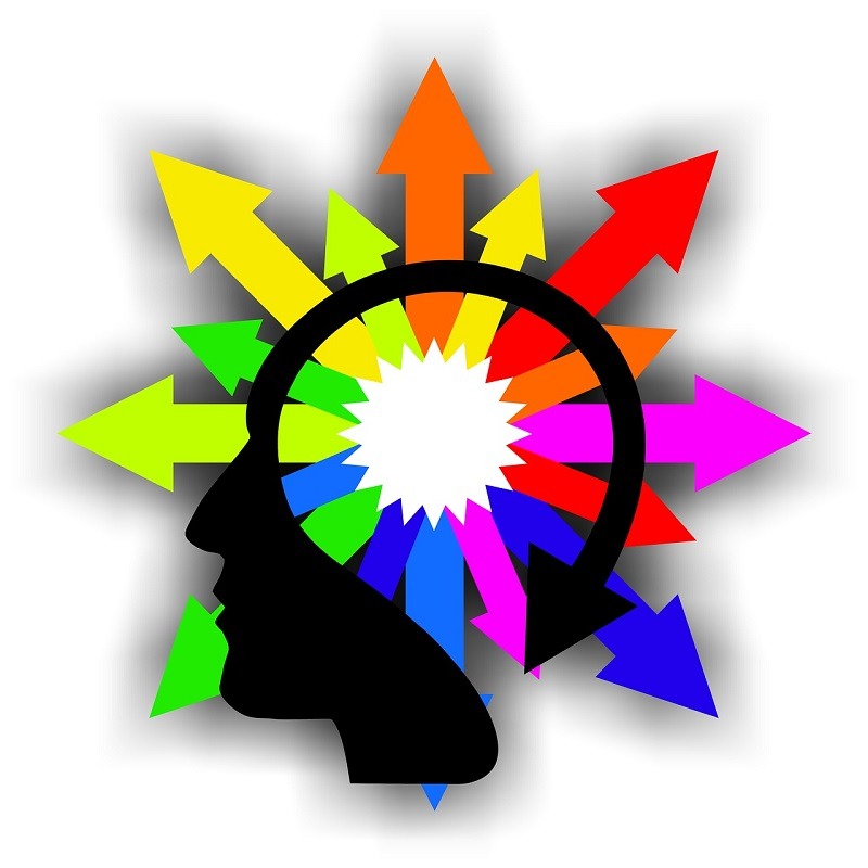 photo portrait Frédéric GOHIER