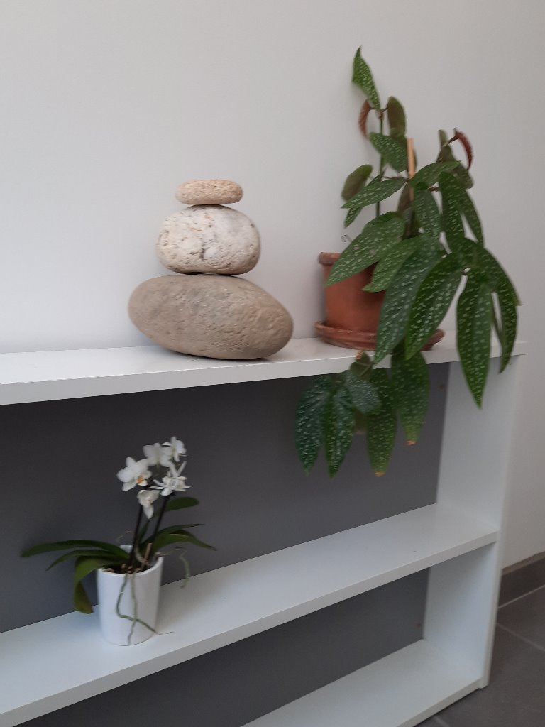 photo cabinet Soizic Watson Aire de Je