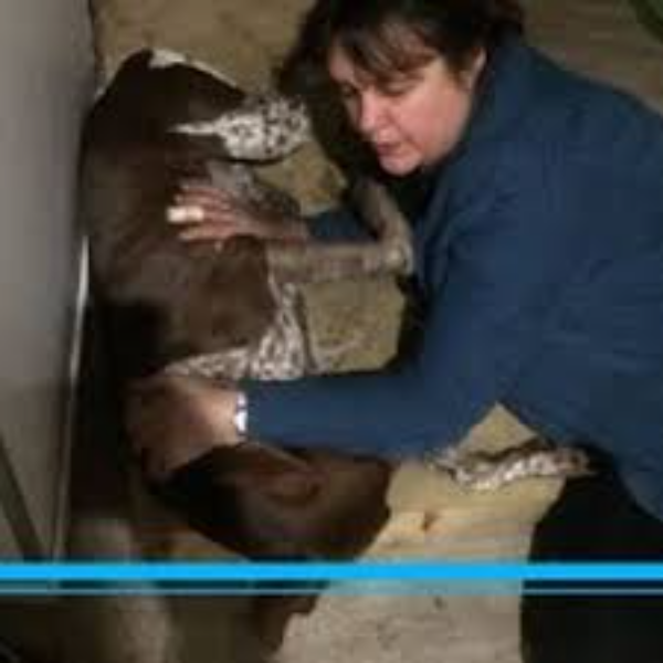 Maître Reiki Catherine Lienard