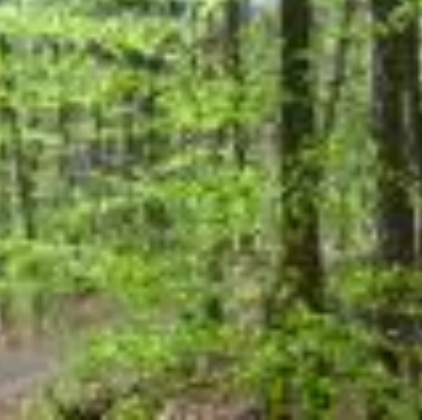 Géraldine Boizot Sophrologue