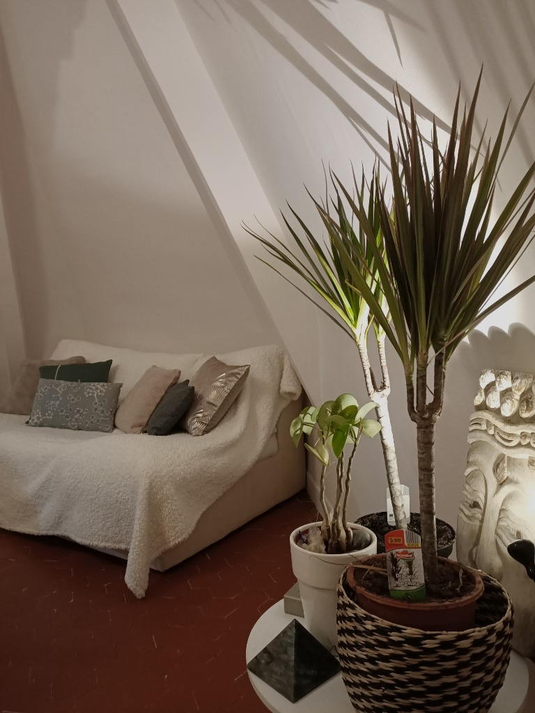 photo cabinet Sylvie Lomenech