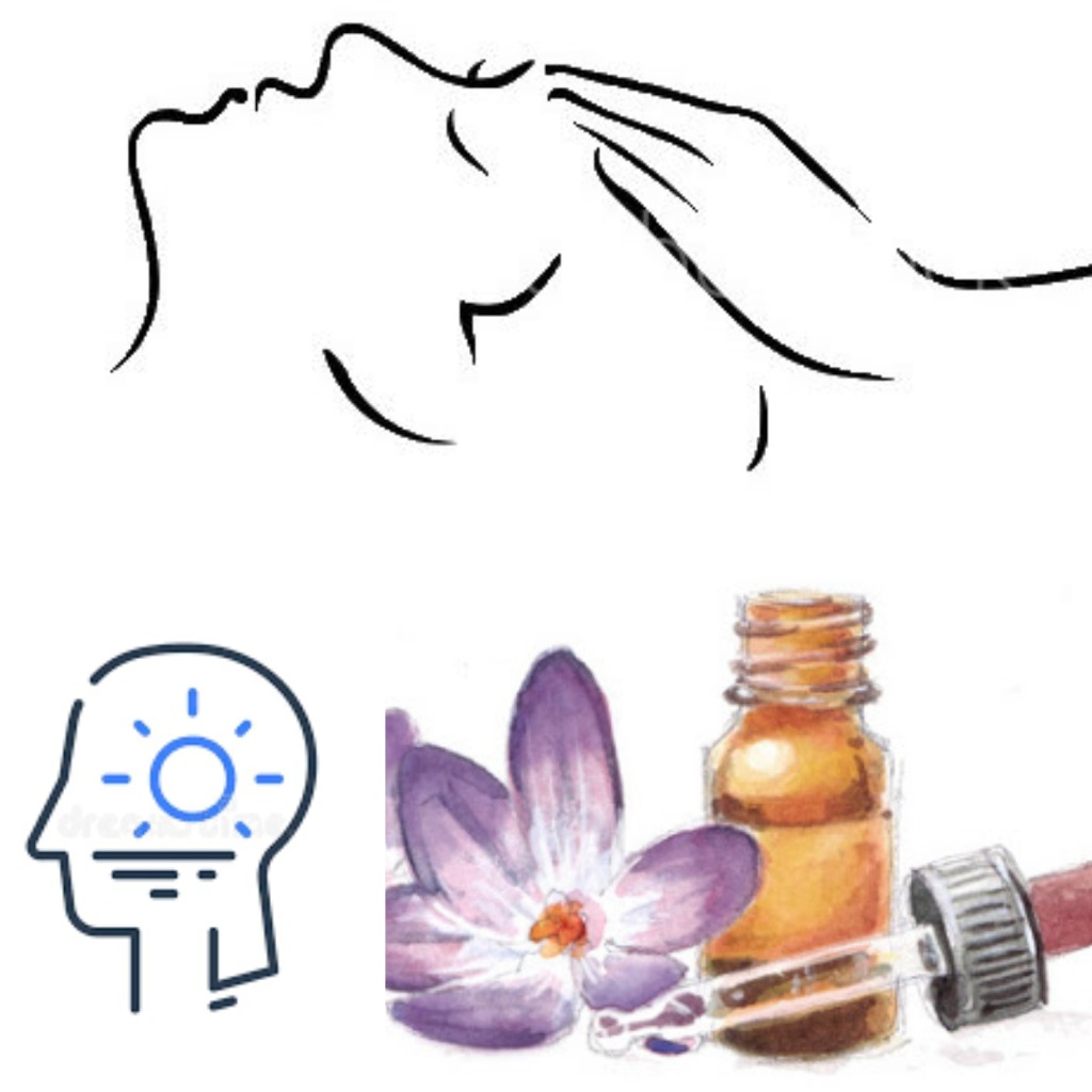 photo activite Mélodie Meunier