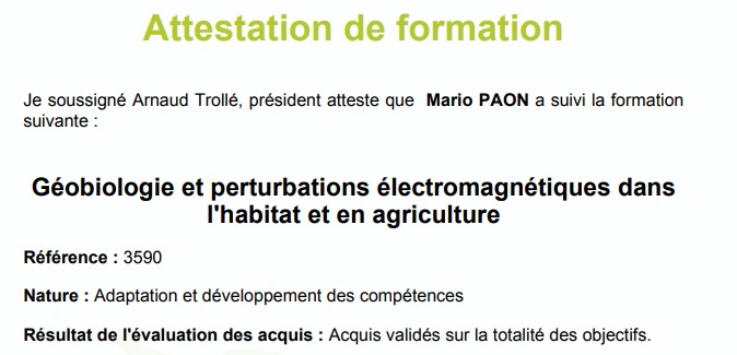 photo diplome Mario PAON