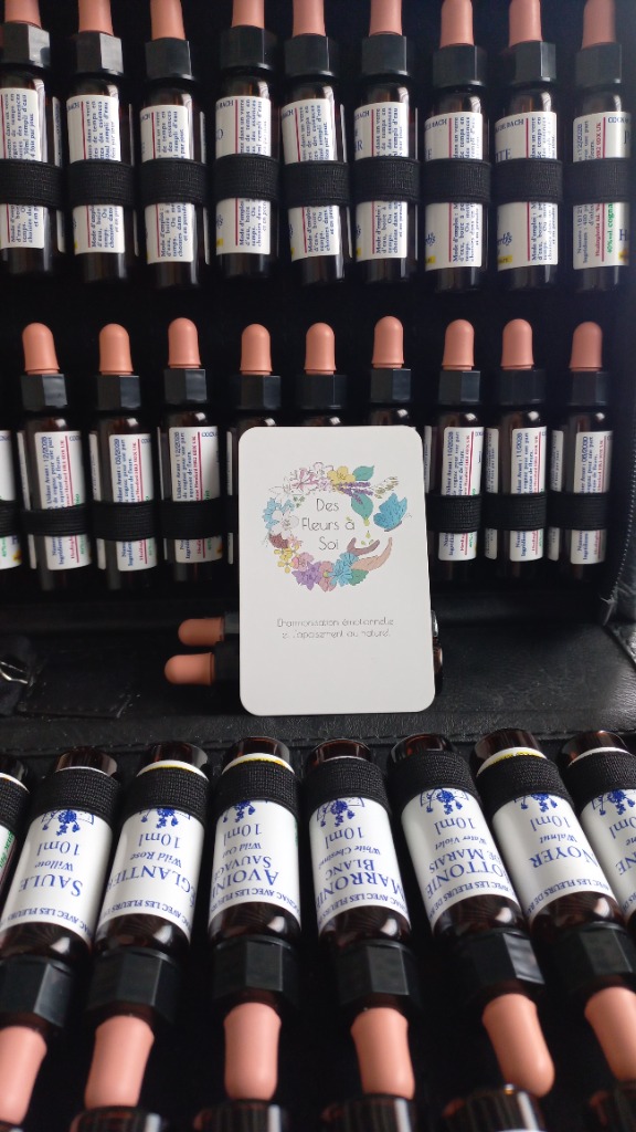 photo seance Des Fleurs à Soi - Sarah LENEGRE