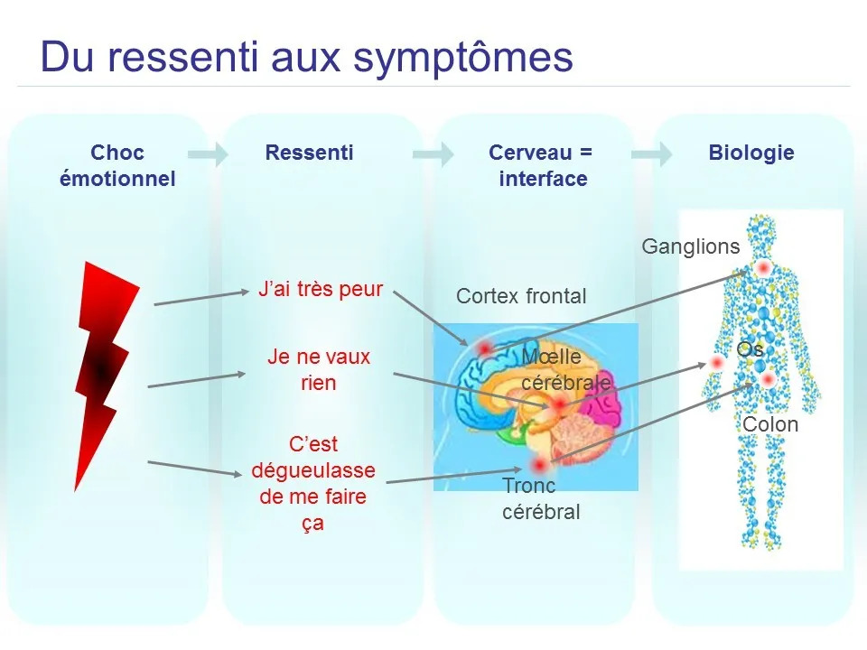 photo activite Centre du Mieux Être - Dominique Chausson