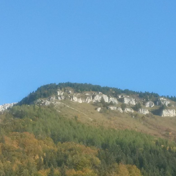 Les ateliers du changement 