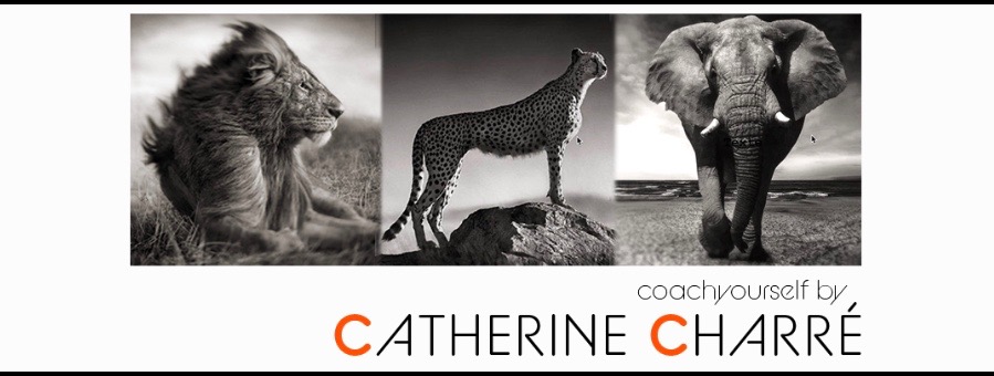 photo portrait Coach Yourself by Catherine Charré