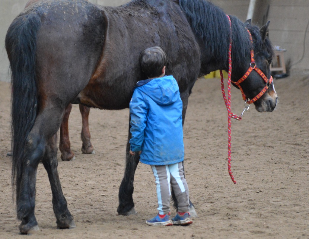 photo activite Maud ROBIN