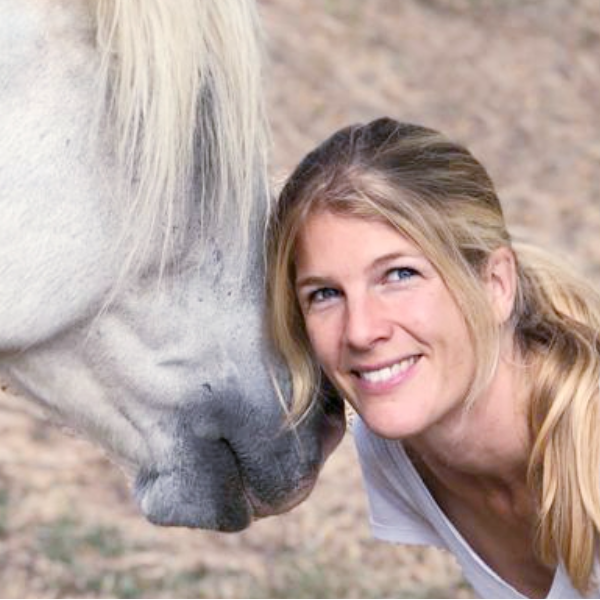 Rise-Up Equicoaching 