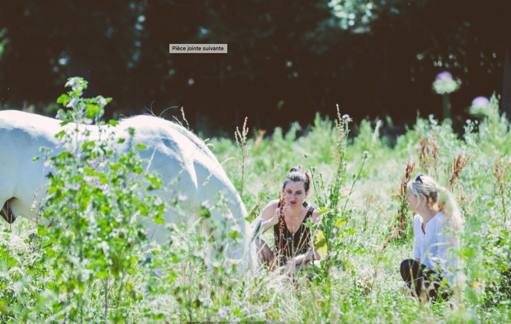 photo cabinet Rise-Up Equicoaching 