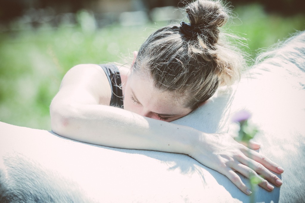 photo seance Rise-Up Equicoaching 