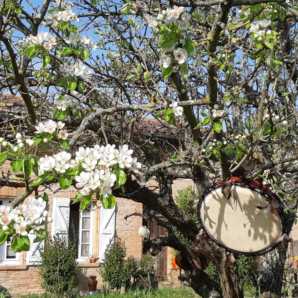 photo cabinet Laurence Déon